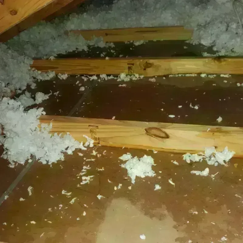 Attic Water Damage in Mason County, IL