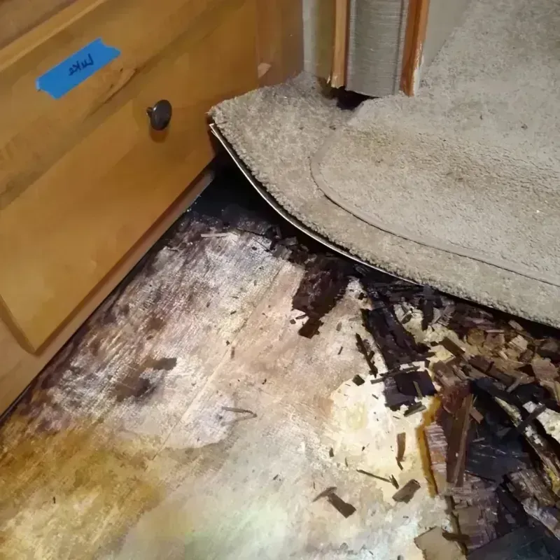 Wood Floor Water Damage in Mason County, IL